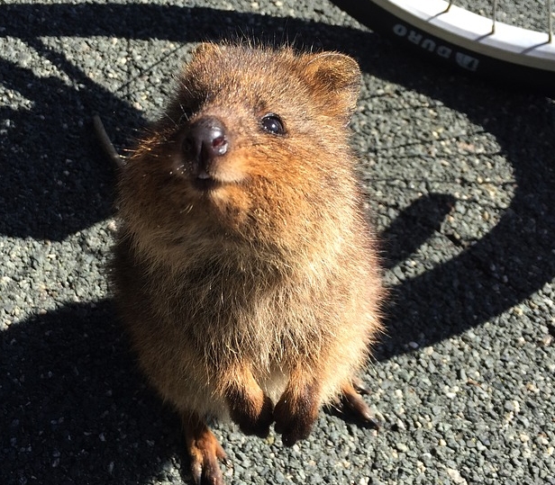 Speaker info for Perth,&nbsp;Australia