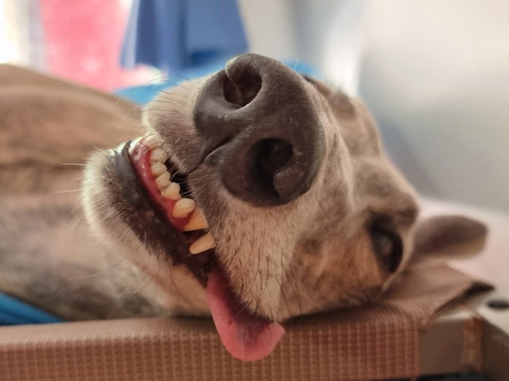 INITRANS grabs a little more&nbsp;space