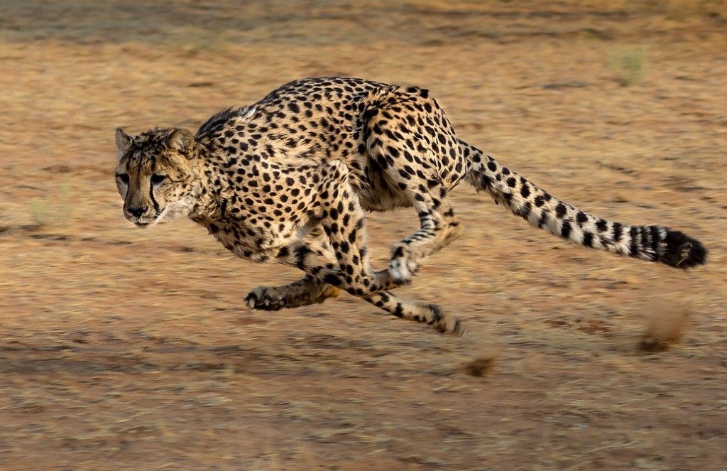 A little bit of PLSQL can be a huge&nbsp;win