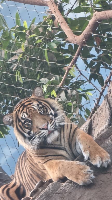 What can you find out in 60 seconds?