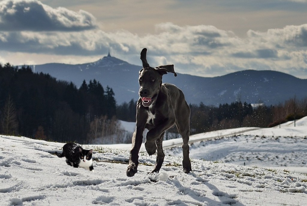 The smaller the database, the more important BIGFILE&nbsp;is