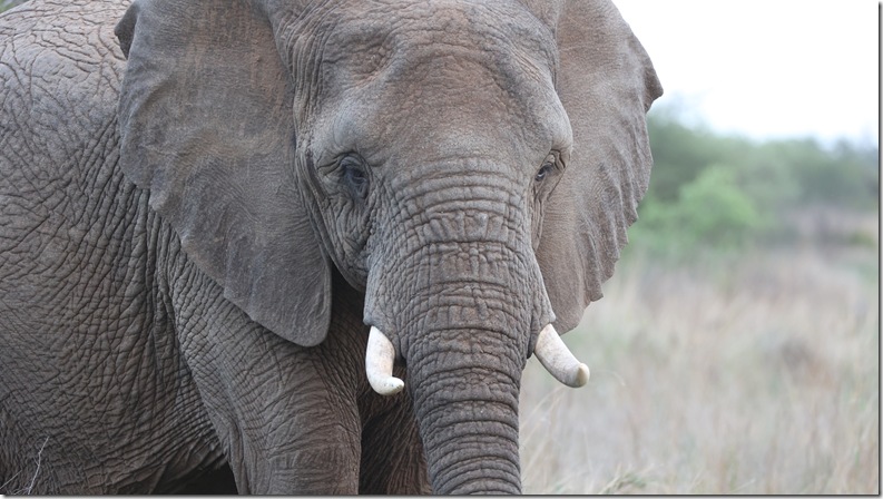 South Africa Oracle User Group conference was a&nbsp;blast!