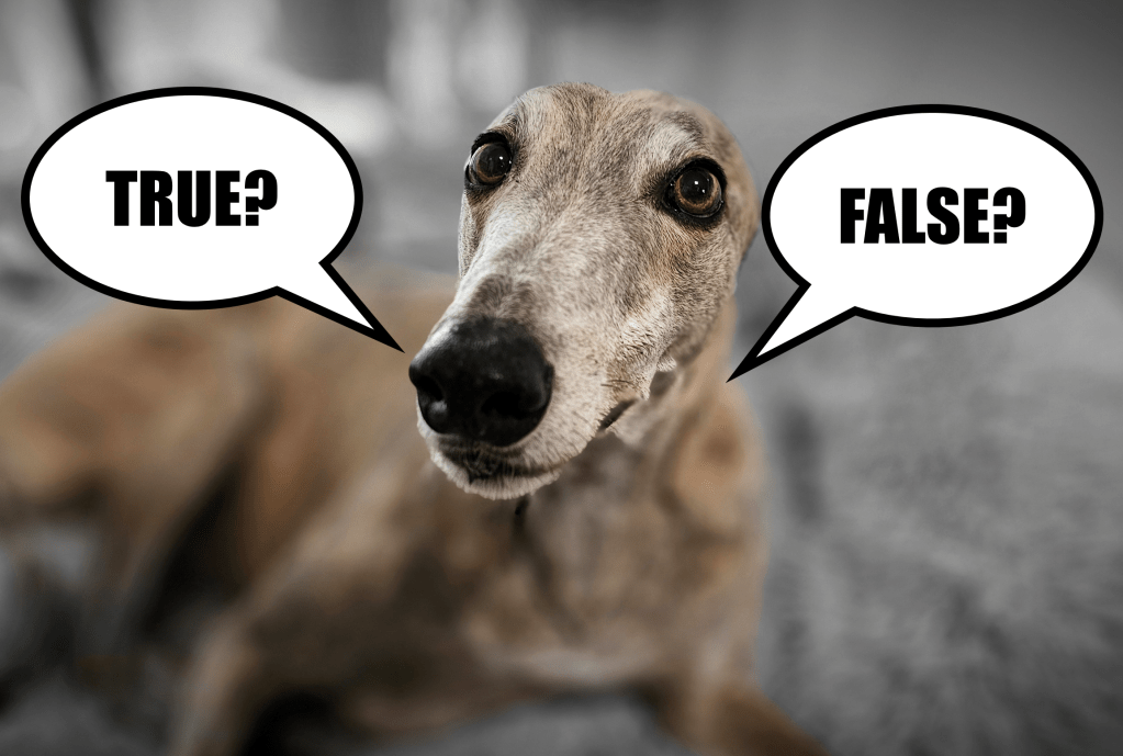 The new Boolean … What about existing&nbsp;apps?